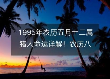 1995年农历五月十二属猪人命运详解！农历八字五行缺什么 婚姻事业