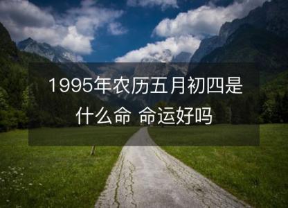 1995年农历五月初四是什么命 命运好吗