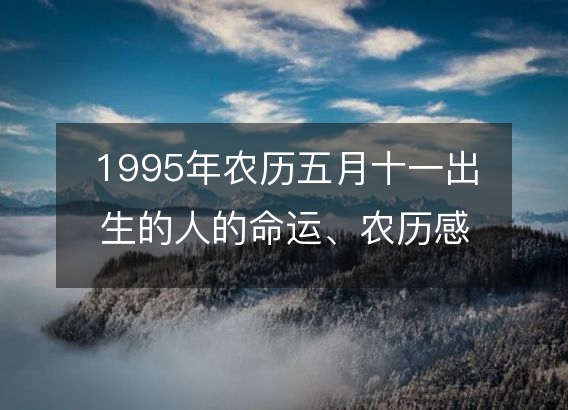 1995年农历五月十一出生的人的命运、农历感情婚姻、性格、事业财运