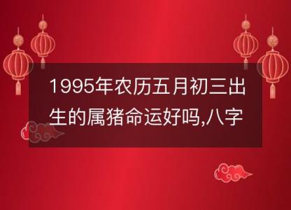 1995年农历五月初三出生的属猪命运好吗,八字五行缺什么 性格特点