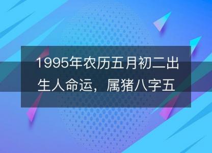 1995年农历五月初二出生人命运，属猪八字五行缺什么 性格感情详解