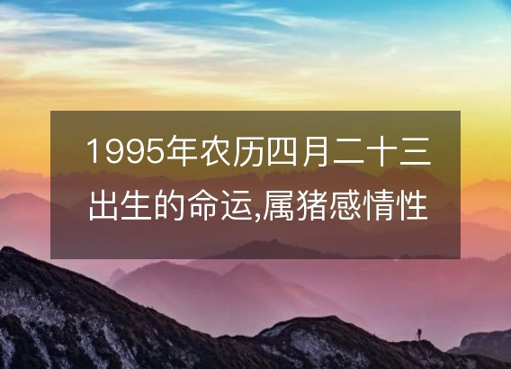 1995年农历四月二十三出生的命运,属猪感情性格 事业财运