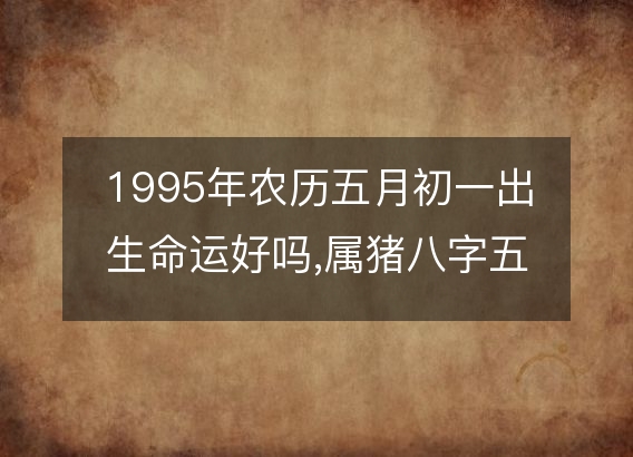 1995年农历五月初一出生命运好吗,属猪八字五行事业感情解析