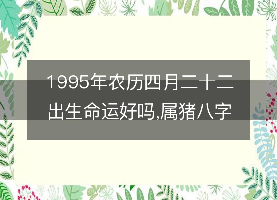 1995年农历四月二十二出生命运好吗,属猪八字五行事业感情解析