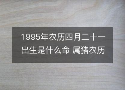 1995年农历四月二十一出生是什么命 属猪农历八字五行解析  性格特点