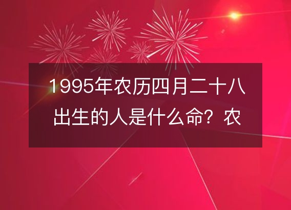 1995年农历四月二十八出生的人是什么命？农历生辰八字,不同时辰五行查询