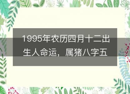 1995年农历四月十二出生人命运，属猪八字五行缺什么 性格感情详解