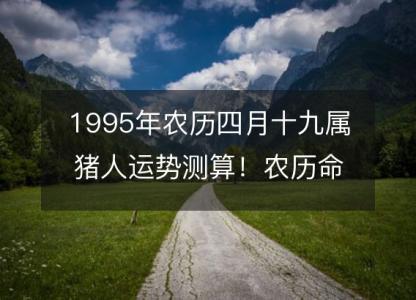 1995年农历四月十九属猪人运势测算！农历命运，五行缺什么