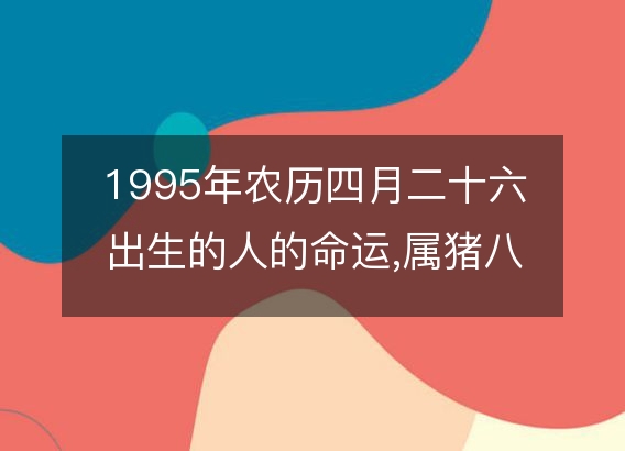 1995年农历四月二十六出生的人的命运,属猪八字五行 性格特点