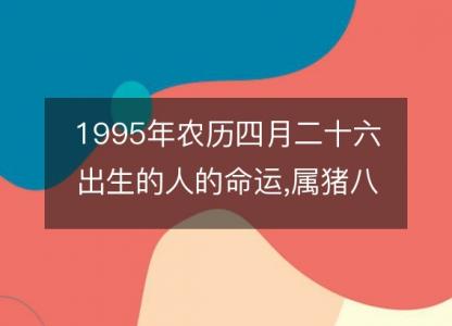 1995年农历四月二十六出生的人的命运,属猪八字五行 性格特点