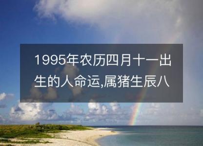 1995年农历四月十一出生的人命运,属猪生辰八字运势 五行查询