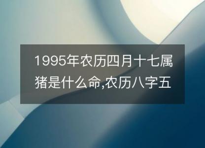 1995年农历四月十七属猪是什么命,农历八字五行缺不缺,姻缘解析