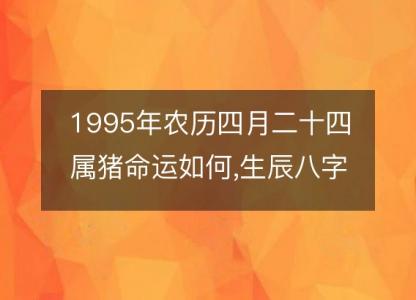 1995年农历四月二十四属猪命运如何,生辰八字运势 五行查询