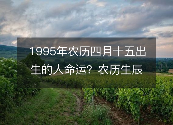 1995年农历四月十五出生的人命运？农历生辰八字 不同时辰五行详解