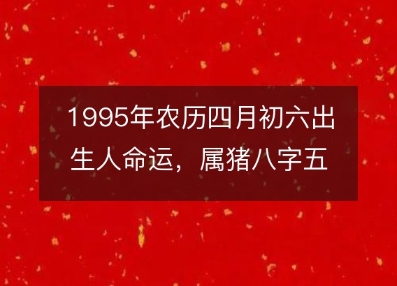 1995年农历四月初六出生人命运，属猪八字五行缺什么 性格感情详解