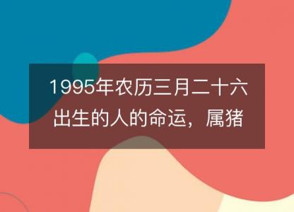 1995年农历三月二十六出生的人的命运，属猪性格特点 八字五行