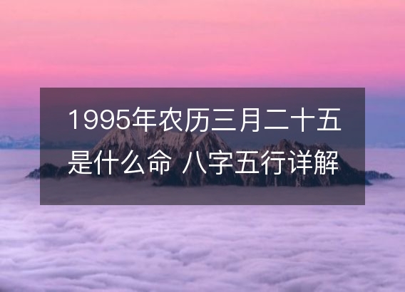 1995年农历三月二十五是什么命 八字五行详解