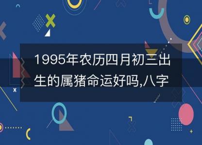 1995年农历四月初三出生的属猪命运好吗,八字五行缺什么 性格特点