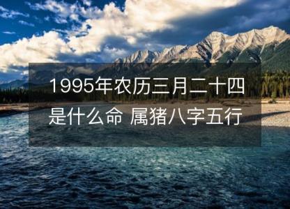 1995年农历三月二十四是什么命 属猪八字五行 婚姻事业详解