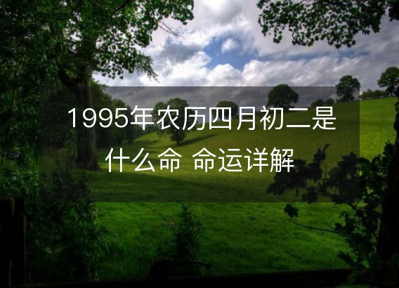 1995年农历四月初二是什么命 命运详解