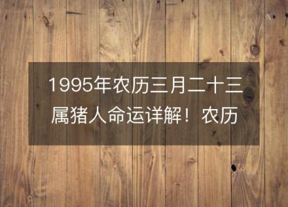 1995年农历三月二十三属猪人命运详解！农历八字五行缺什么 婚姻事业