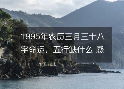 1995年农历三月三十八字命运，五行缺什么 感情婚姻、性格、事业财运