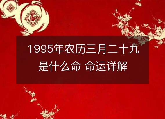 1995年农历三月二十九是什么命 命运详解