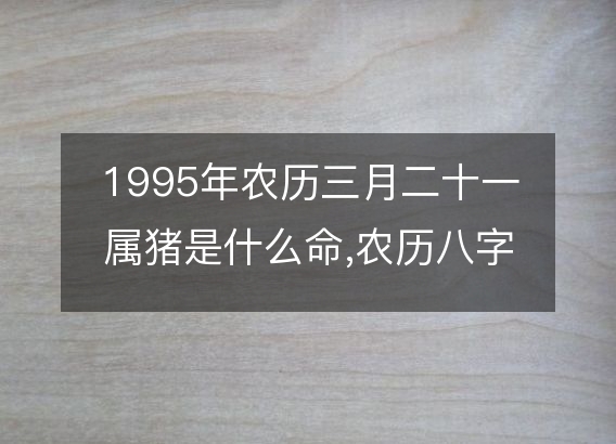 1995年农历三月二十一属猪是什么命,农历八字五行缺不缺,姻缘解析