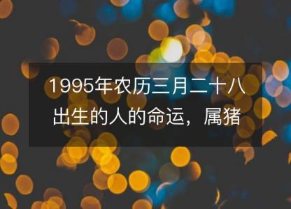 1995年农历三月二十八出生的人的命运，属猪性格特点 八字五行