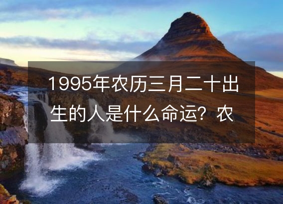 1995年农历三月二十出生的人是什么命运？农历生辰八字,事业,五行解析