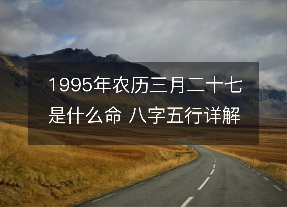 1995年农历三月二十七是什么命 八字五行详解