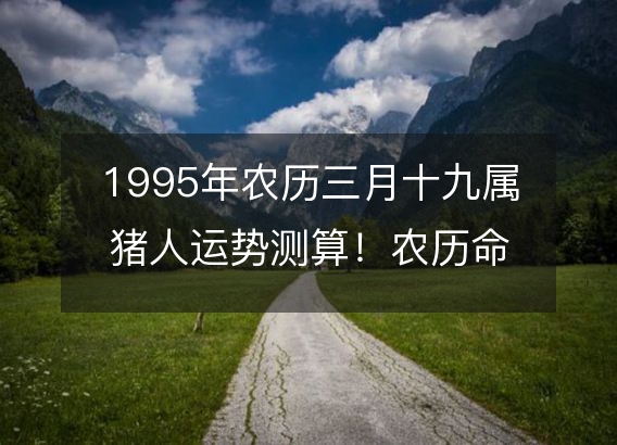 1995年农历三月十九属猪人运势测算！农历命运，五行缺什么