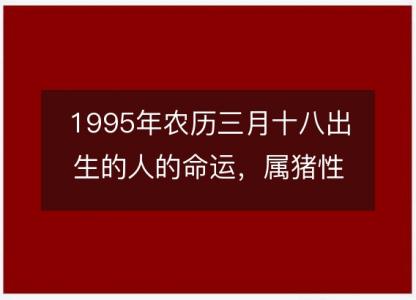 1995年农历三月十八出生的人的命运，属猪性格特点 八字五行