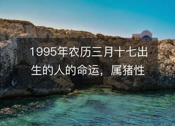 1995年农历三月十七出生的人的命运，属猪性格特点 八字五行