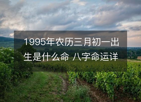 1995年农历三月初一出生是什么命 八字命运详解