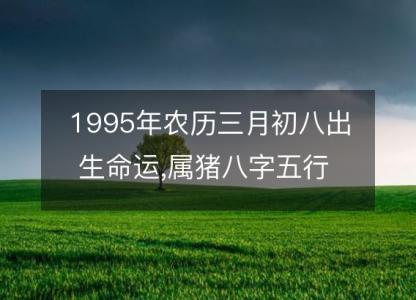 1995年农历三月初八出生命运,属猪八字五行 婚姻感情解析