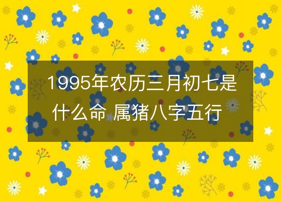 1995年农历三月初七是什么命 属猪八字五行 婚姻事业详解