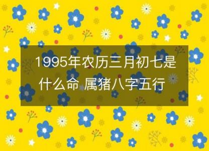 1995年农历三月初七是什么命 属猪八字五行 婚姻事业详解