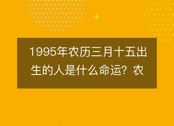 1995年农历三月十五出生的人是什么命运？农历生辰八字,事业,五行解析