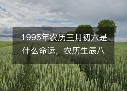 1995年农历三月初六是什么命运，农历生辰八字五行缺吗 事业婚姻