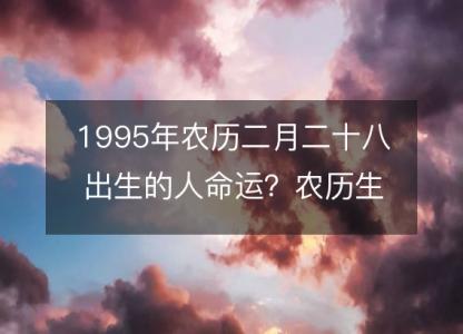 1995年农历二月二十八出生的人命运？农历生辰八字 不同时辰五行详解