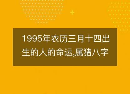 1995年农历三月十四出生的人的命运,属猪八字五行 性格特点