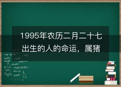 1995年农历二月二十七出生的人的命运，属猪性格特点 八字五行