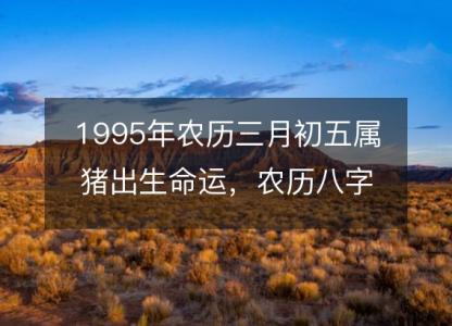 1995年农历三月初五属猪出生命运，农历八字五行缺不缺 性格特点