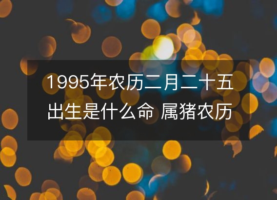 1995年农历二月二十五出生是什么命 属猪农历八字五行解析  性格特点