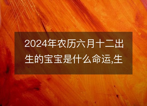 2024年农历六月十二出生的宝宝是什么命运,生辰八字五行缺不缺