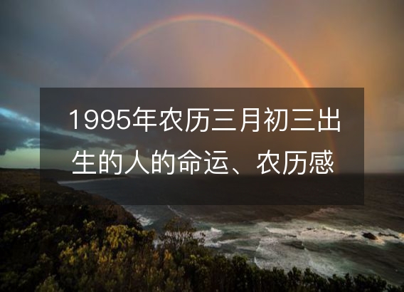 1995年农历三月初三出生的人的命运、农历感情婚姻、性格、事业财运