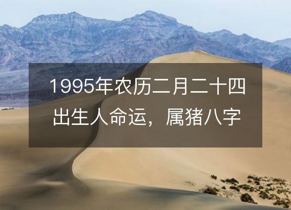 1995年农历二月二十四出生人命运，属猪八字五行缺什么 性格感情详解