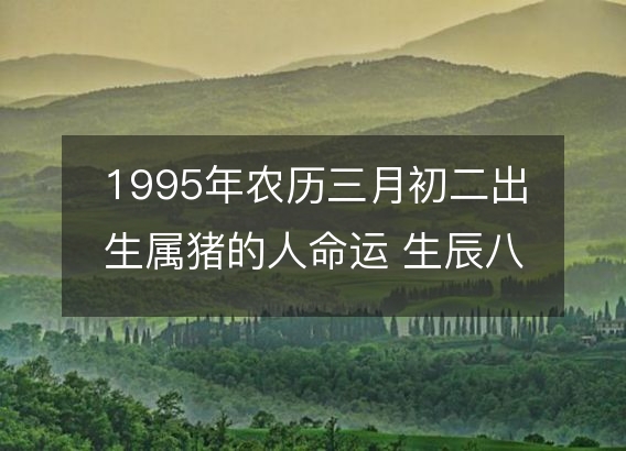 1995年农历三月初二出生属猪的人命运 生辰八字五行 事业财运详解