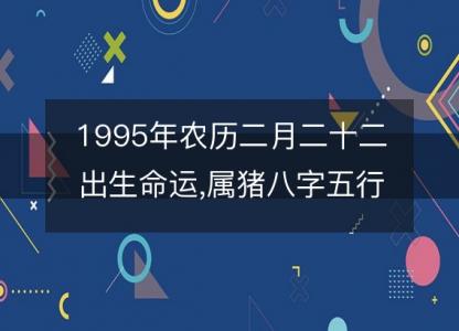 1995年农历二月二十二出生命运,属猪八字五行 婚姻感情解析